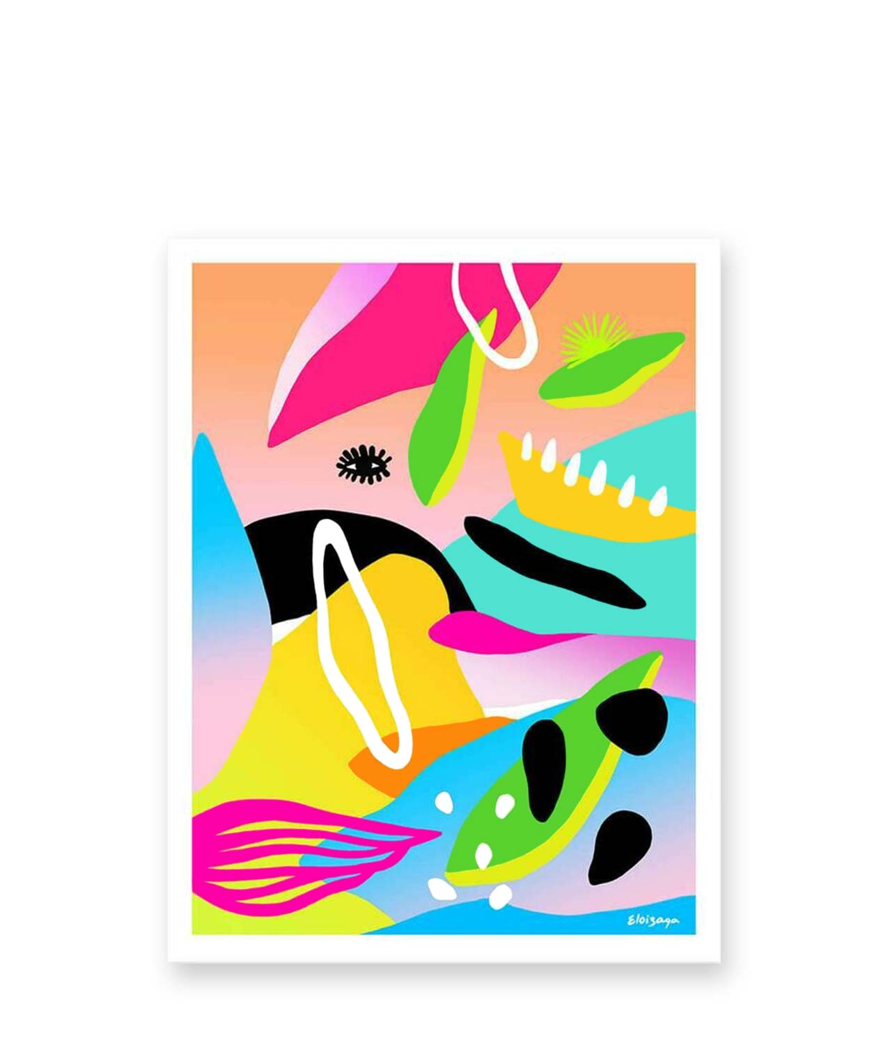 ILUSTRACION ELOIZAGA