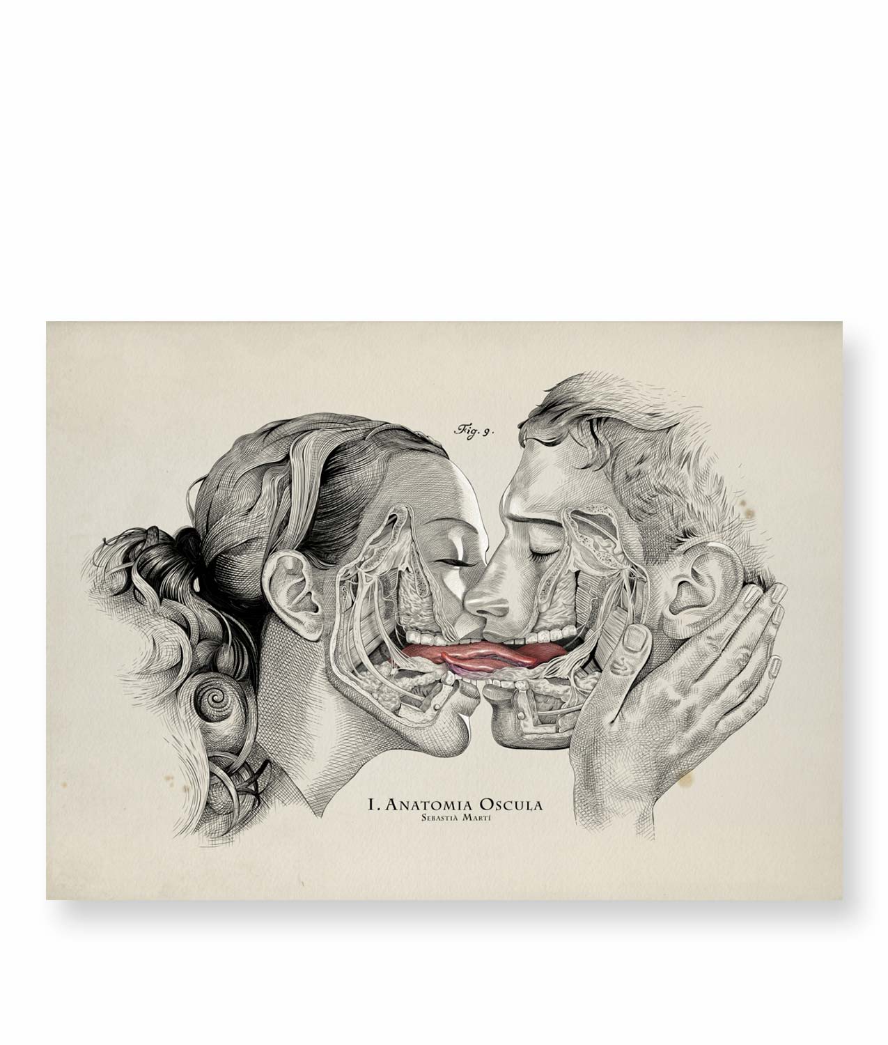 ILUSTRACION BESO SEBASTIA
