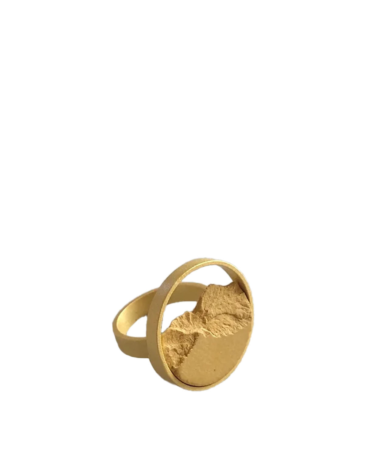Anillo dsnu