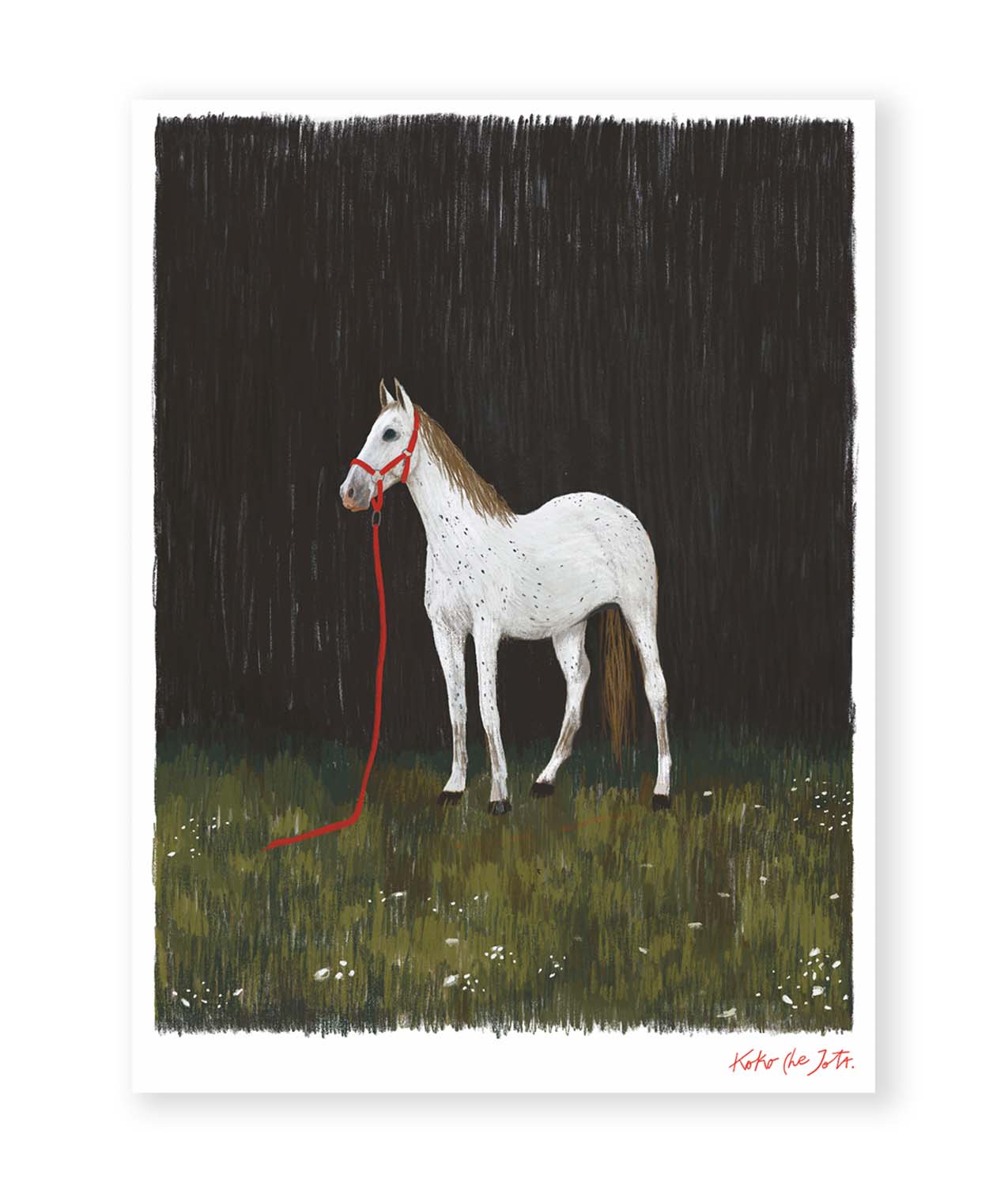 Anyone’s Horse