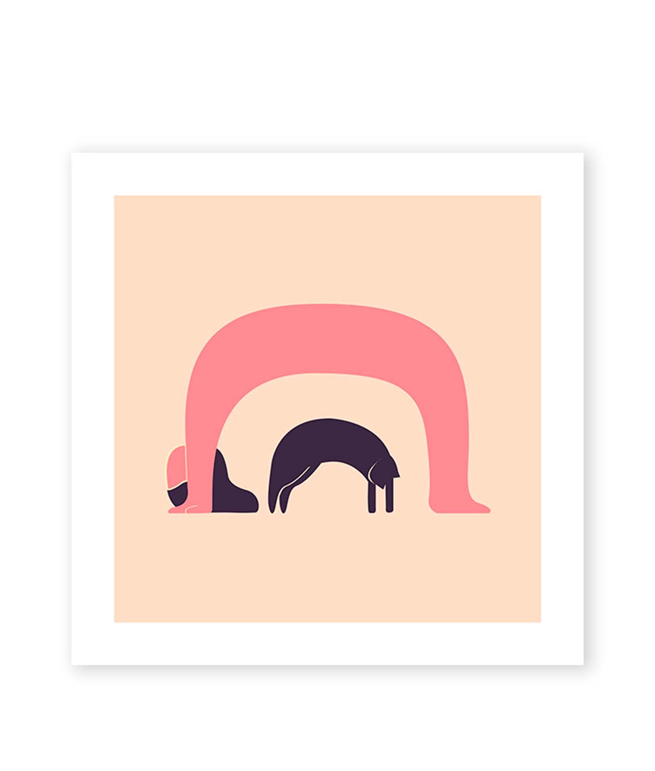 ilustraciones somnisdecoto