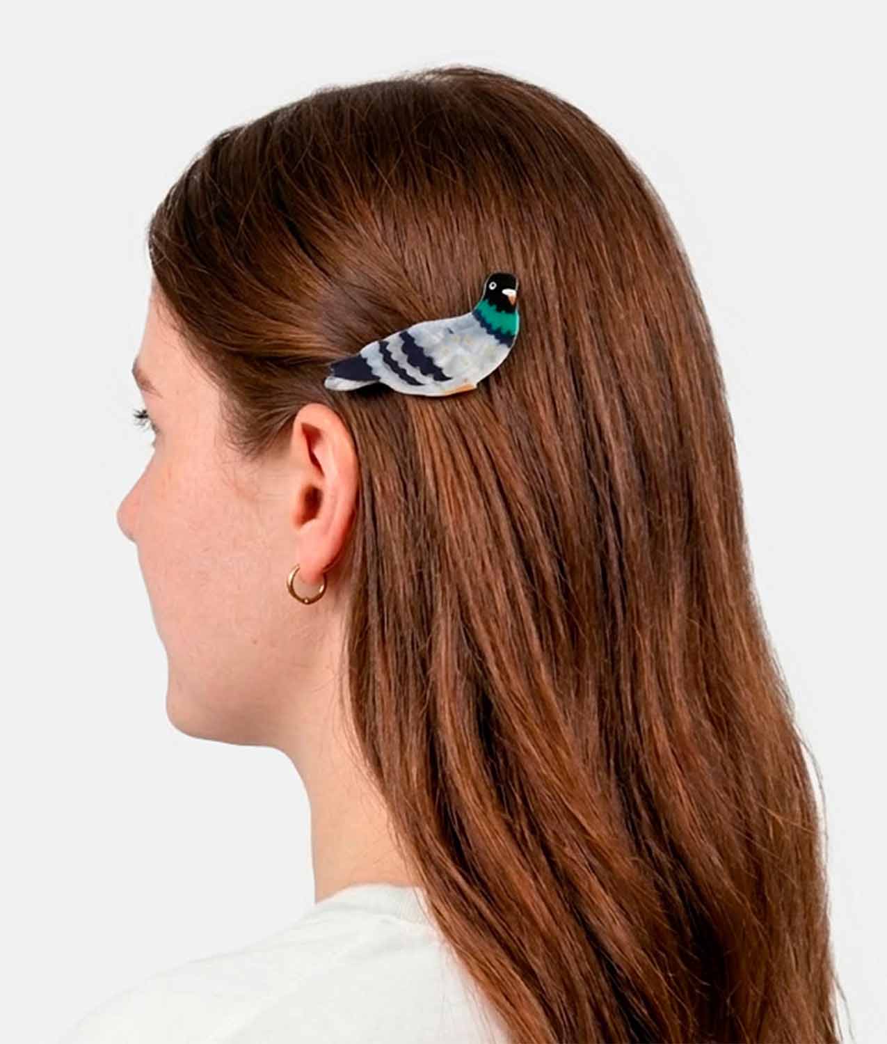Clip Pigeon