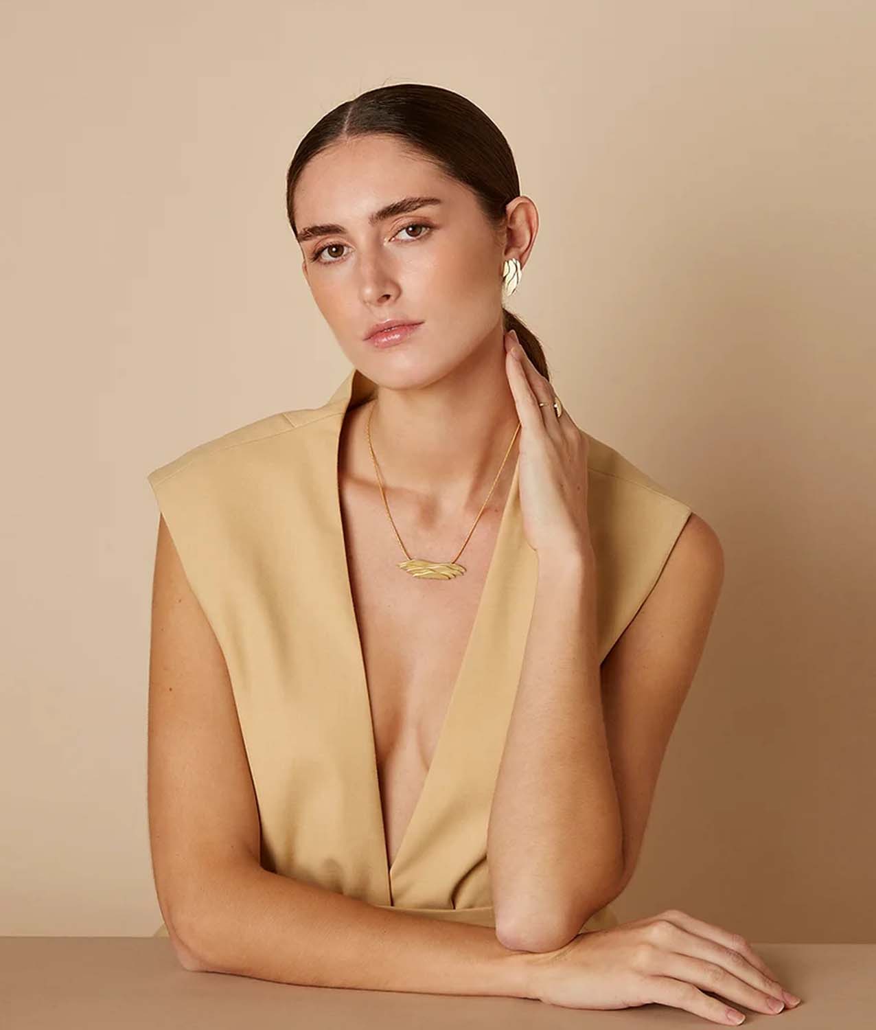 collar dsnu