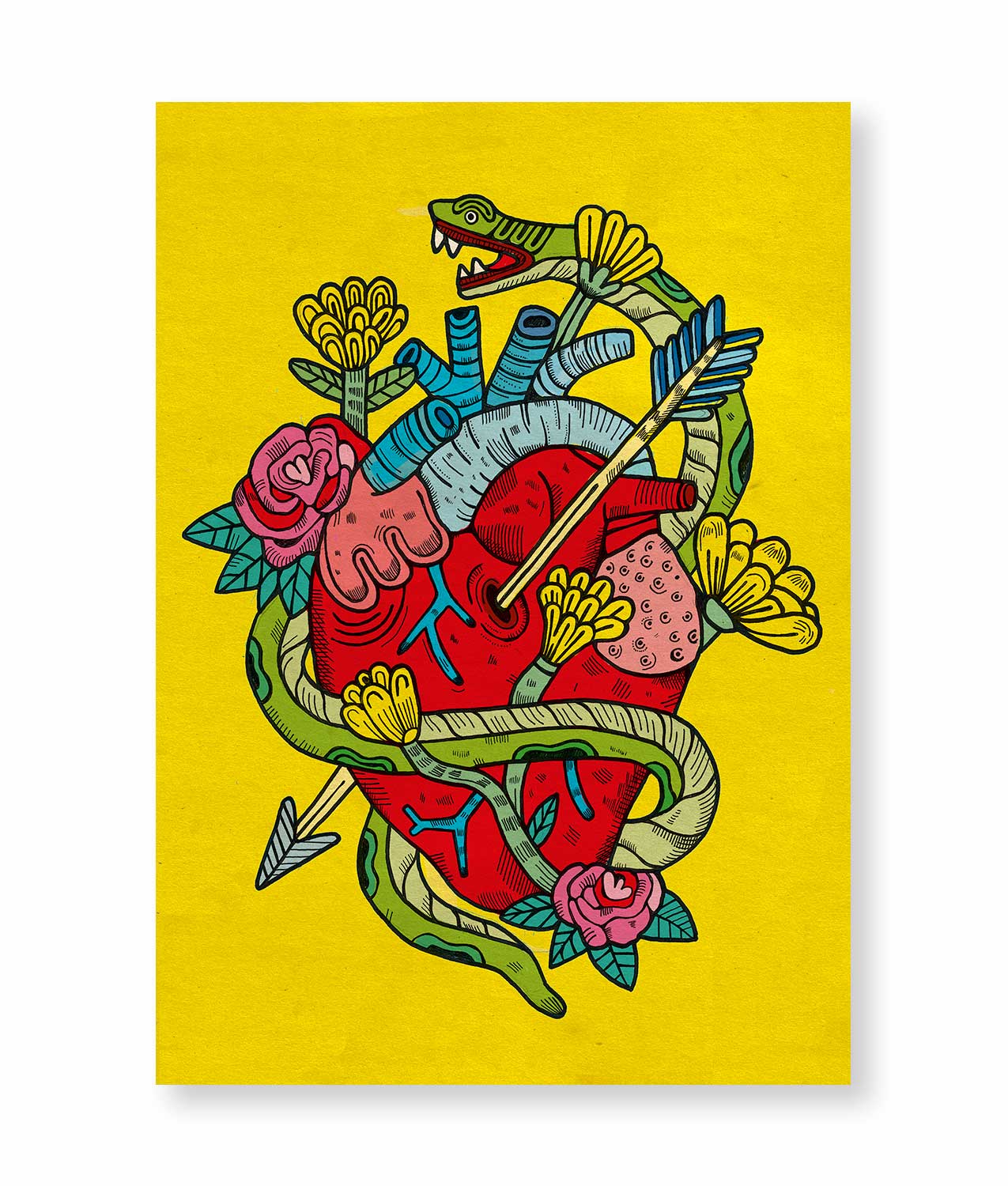 ilustracion asis percales