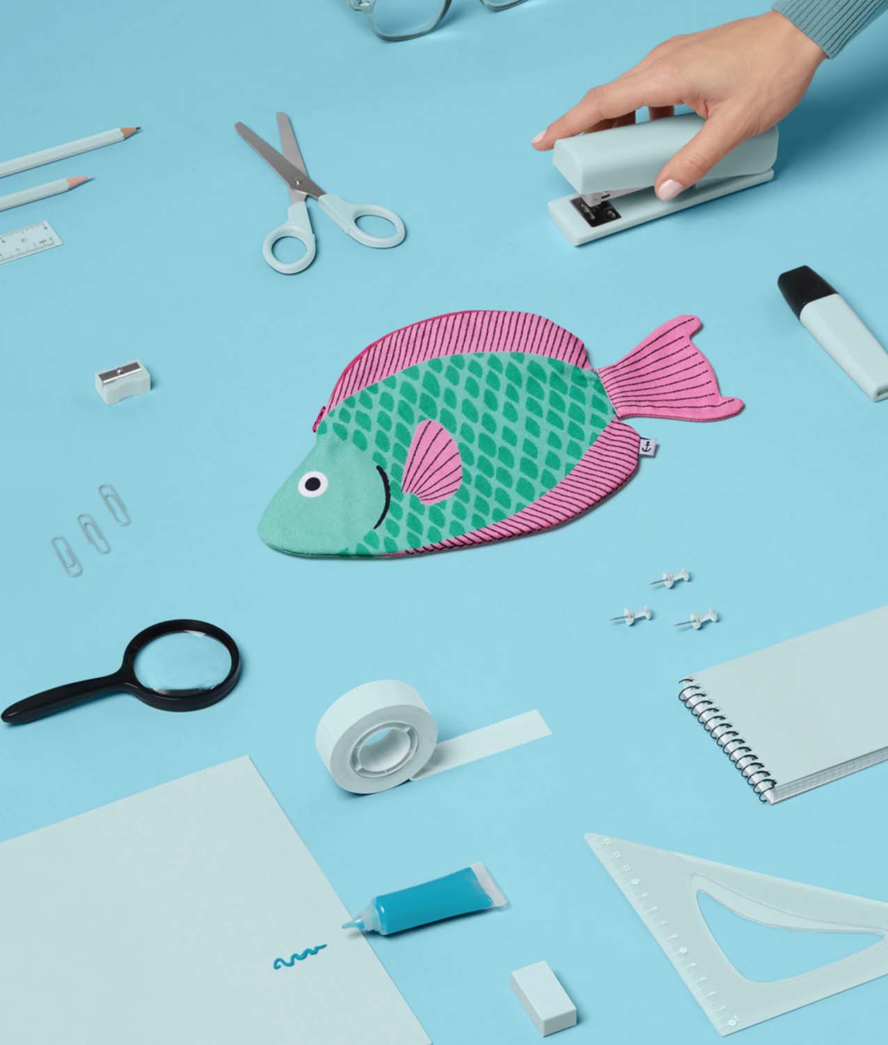 Estuche Parrotfish