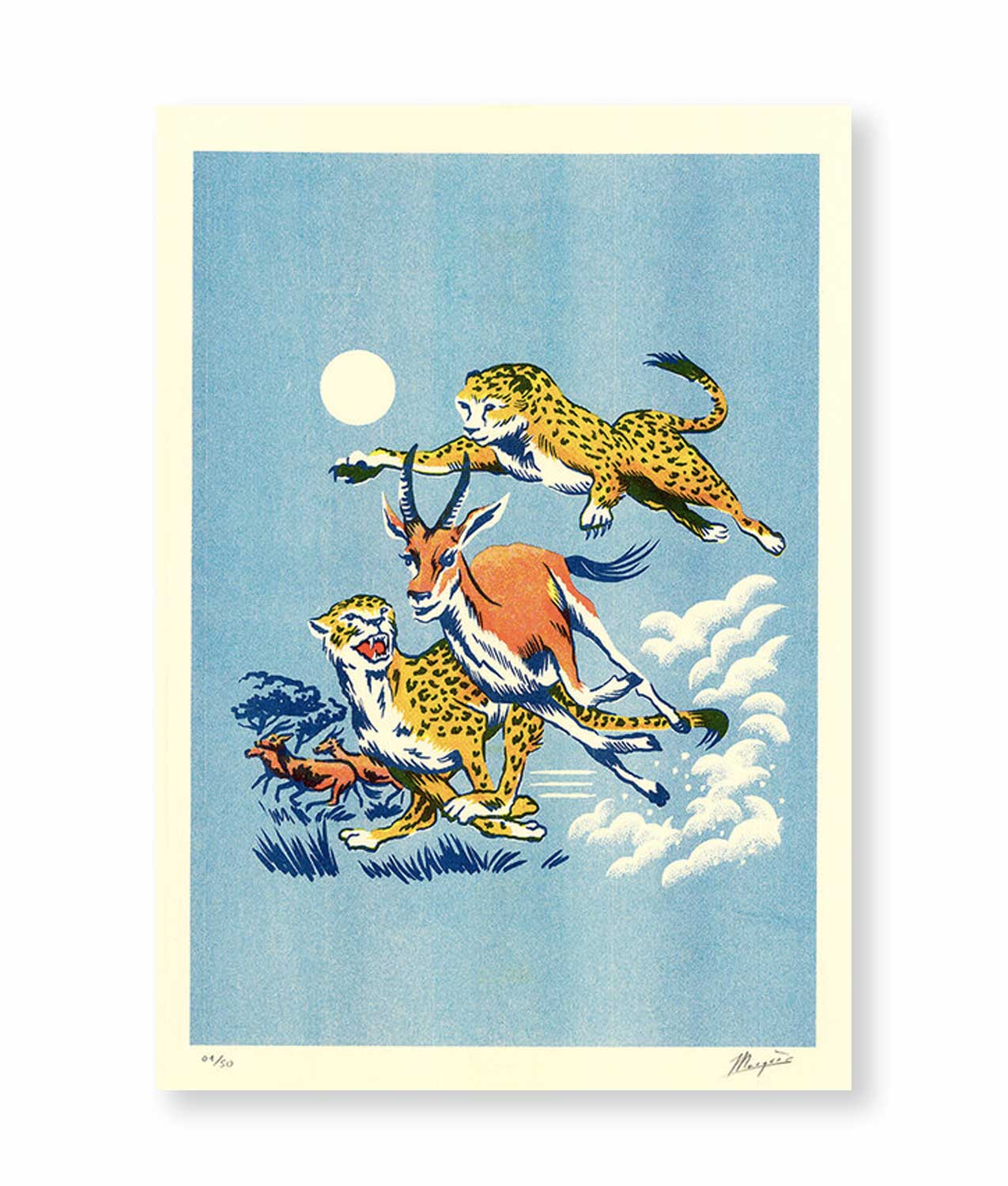 ilustracion cheetahs el marques