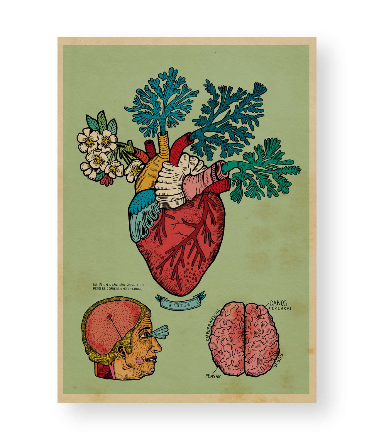 ILUSTRACION CORAZON