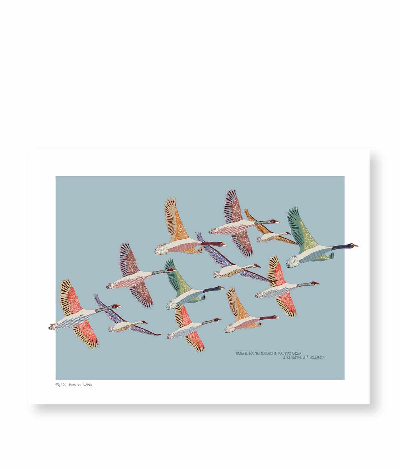 illustration ana lima birds