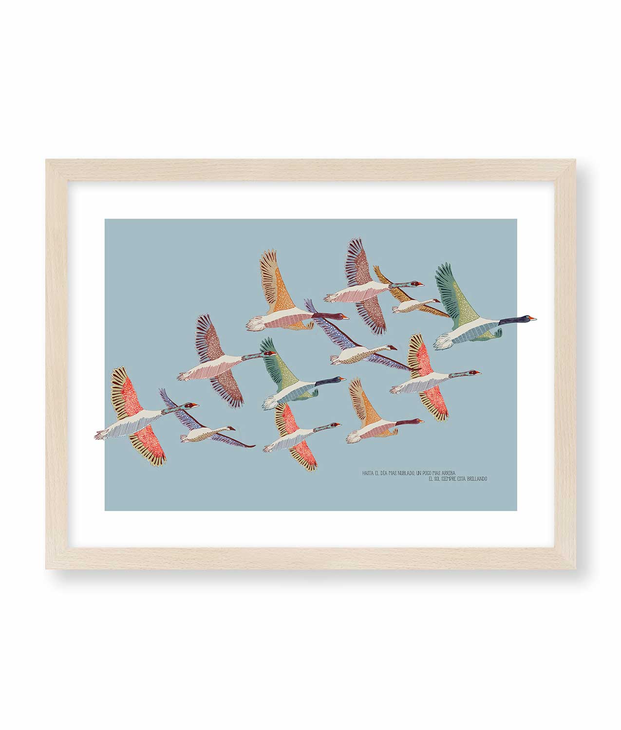 illustration ana lima birds