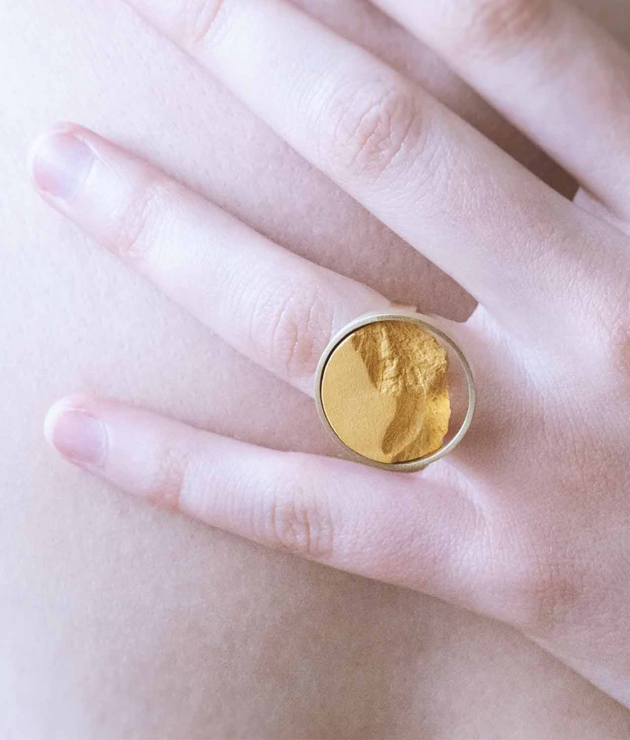 Anillo dsnu