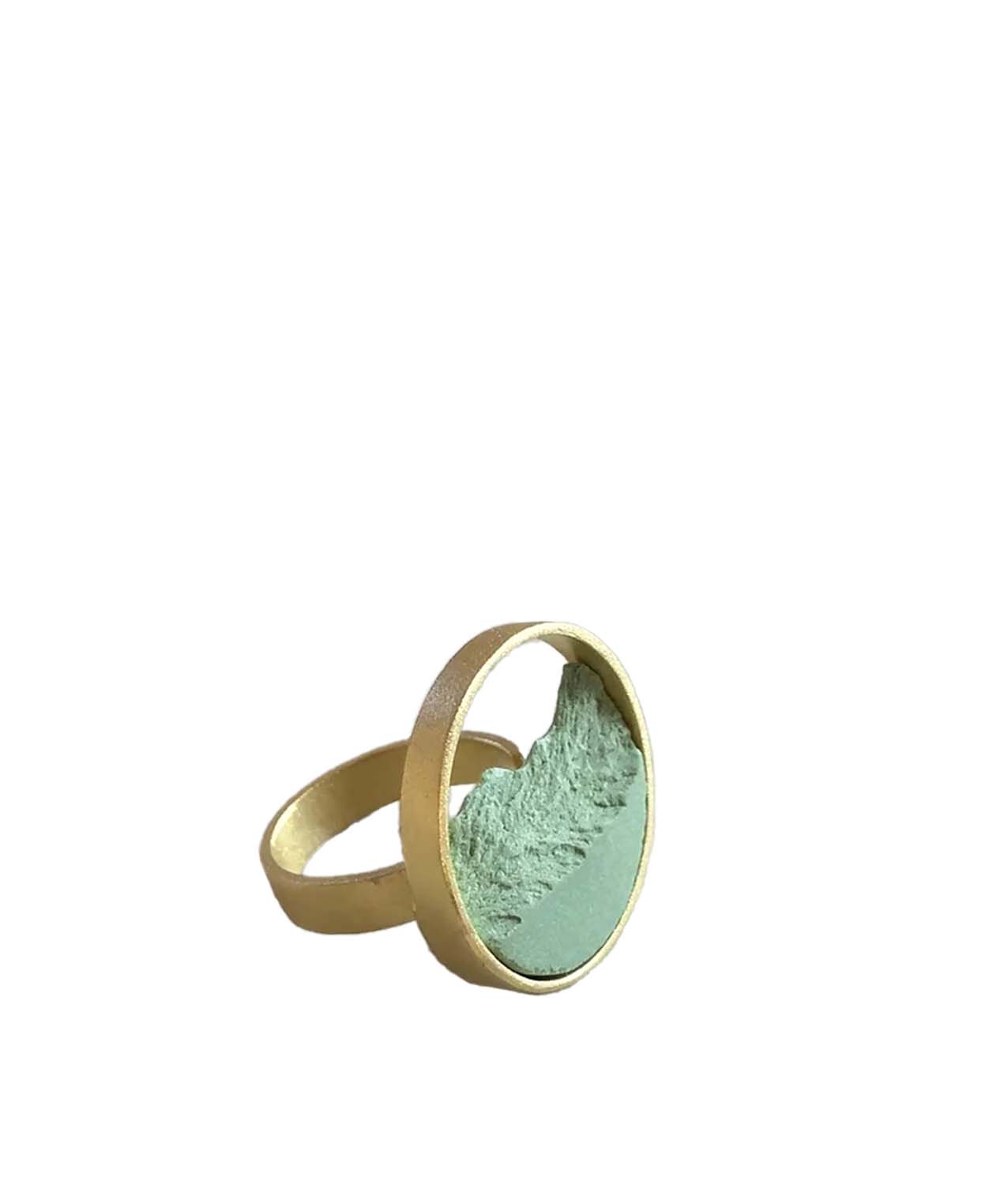 Anillo dsnu