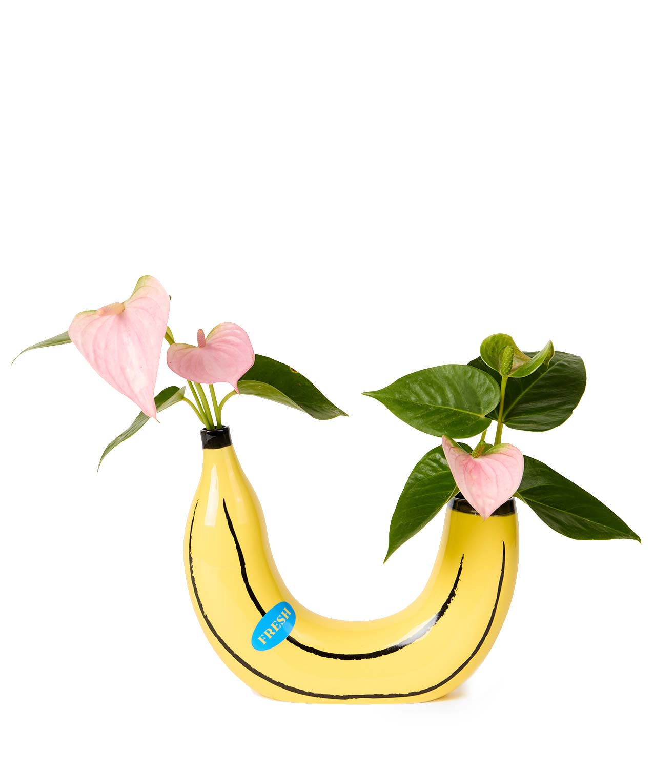 jarron platano doiy banana