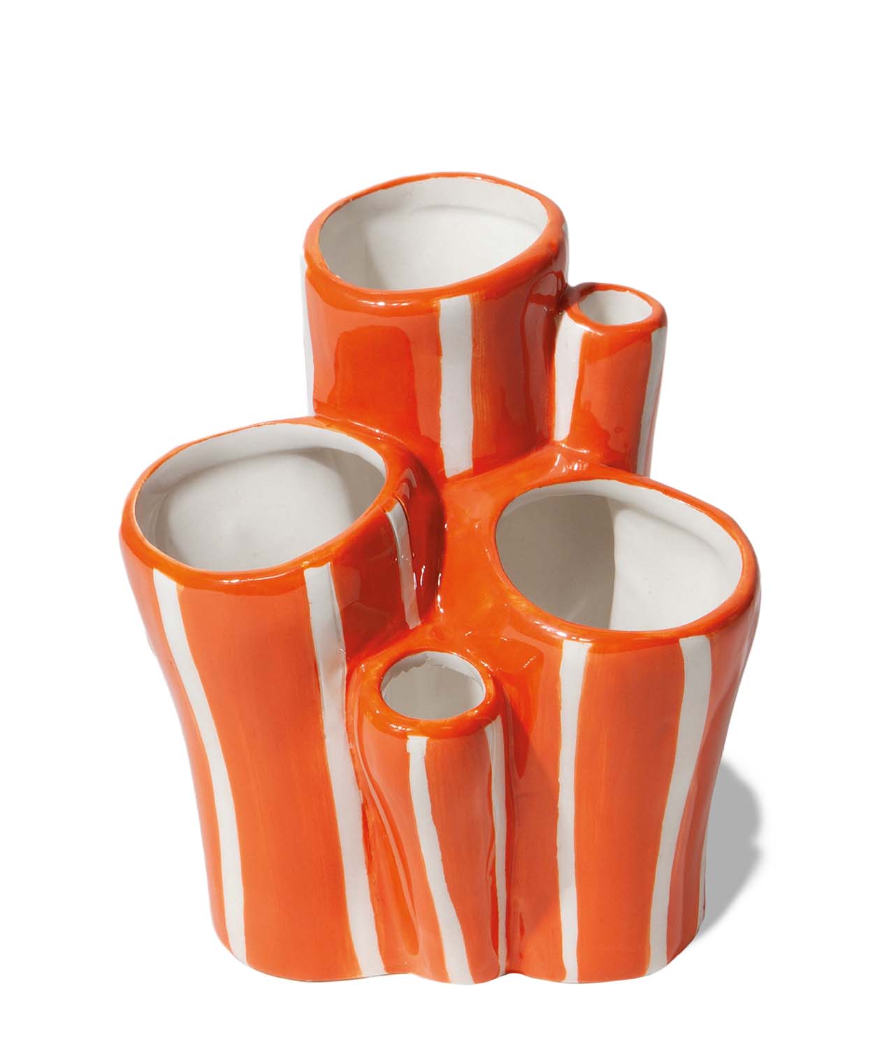 bote multiusos coral doiy