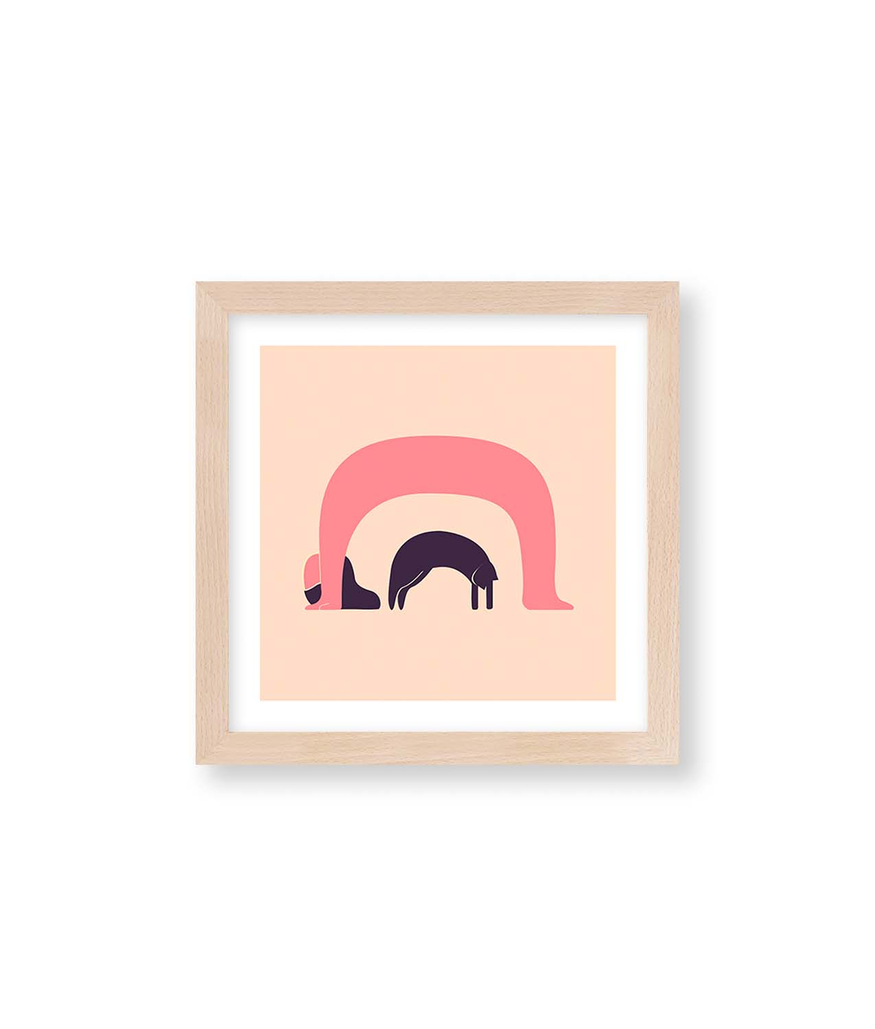 ilustraciones somnisdecoto
