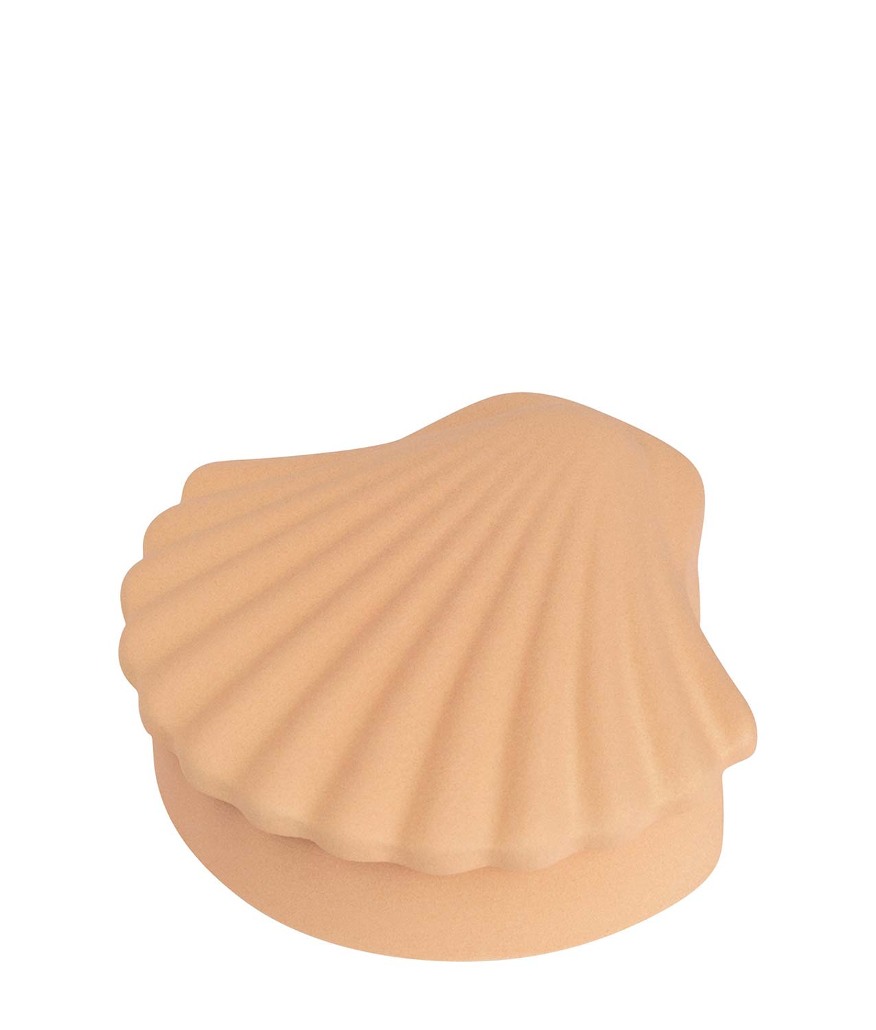 caja concha arcilla los objetos decorativos