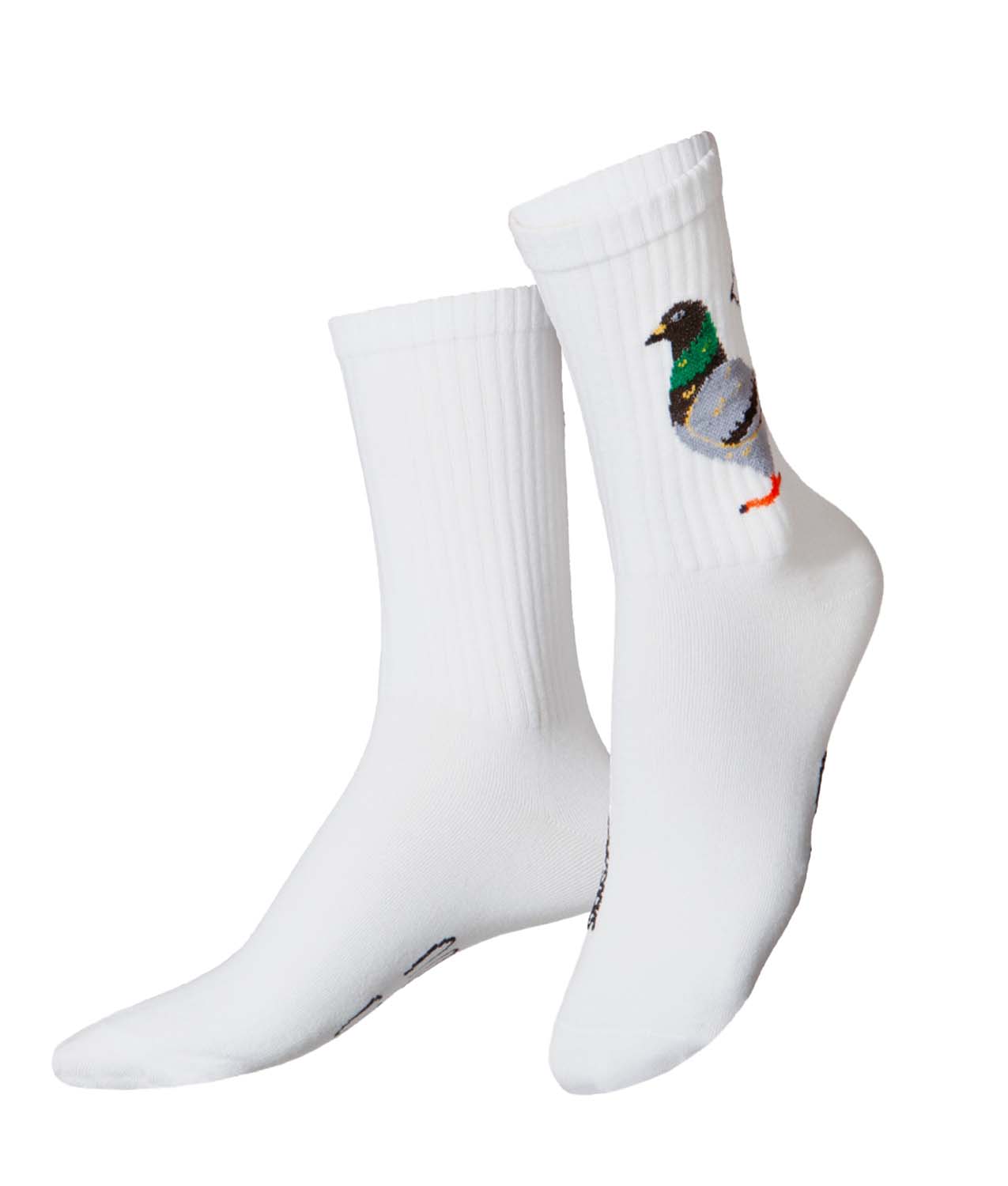 calcetines paloma eat my socks