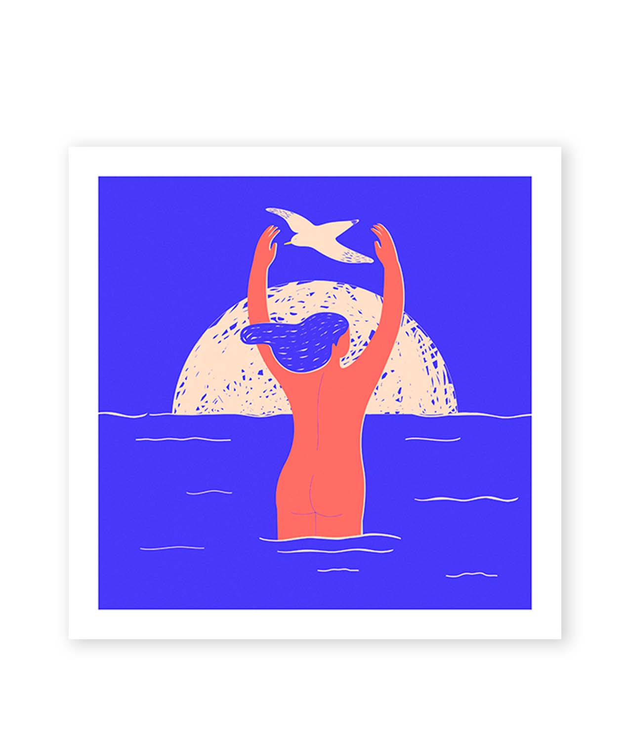 ilustraciones somnisdecoto