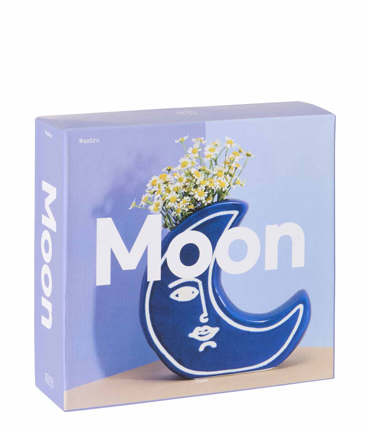 jarron ceramica luna doiy